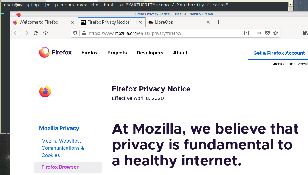 ipnetns-firefox.png